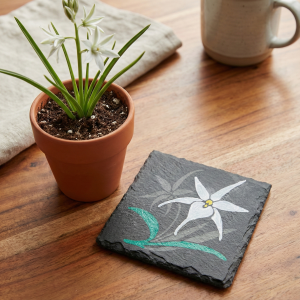 hand painted botanical slate coasters with walnut holder winter collection two